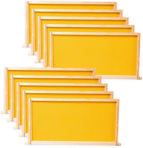 Assembled Deep Beehive Frames (10-Pack)