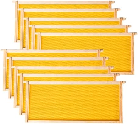 Medium Super Frames with Black Foundation