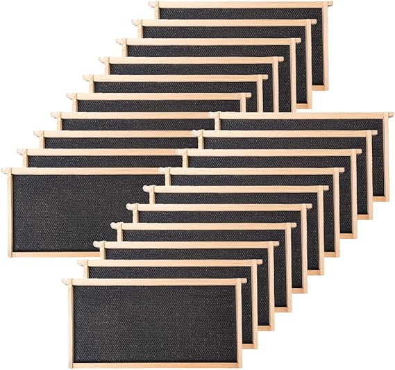 Wooden Bee Frames with Wax-Coated Foundation