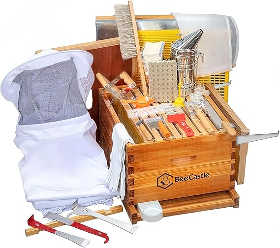 10-Frame Beekeeping Starter Kit with Gloves and Frame Grip