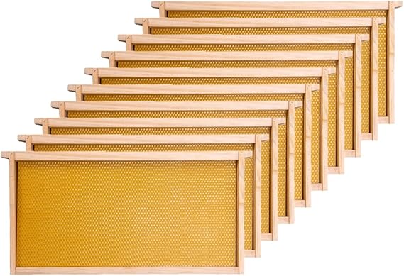 Starter Beehive Frame Bundle for New Colonies